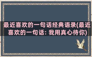 最近喜欢的一句话经典语录(最近喜欢的一句话: 我用真心待你)